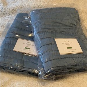 2 Pottery Barn pillow shams